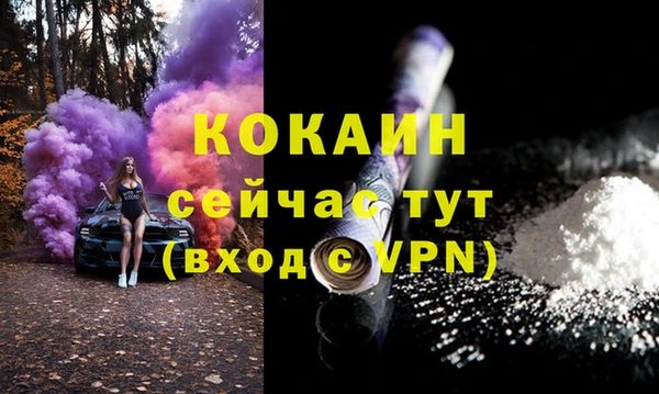 spice Няндома