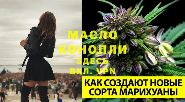 ECSTASY Нязепетровск