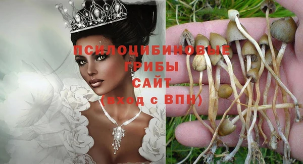 spice Няндома