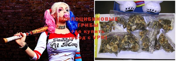 ECSTASY Нязепетровск