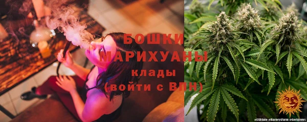 spice Няндома