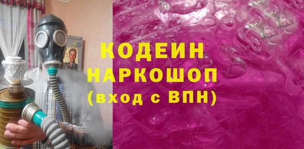 spice Няндома