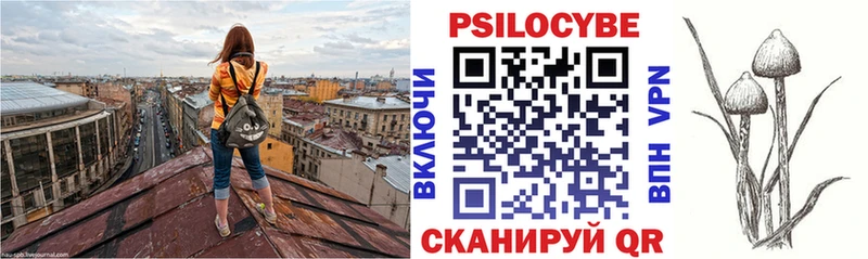 Псилоцибиновые грибы Psilocybine cubensis  купить  цена  Ликино-Дулёво 