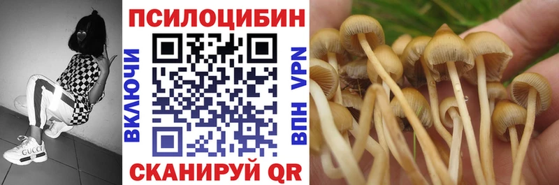 Псилоцибиновые грибы мицелий Ликино-Дулёво